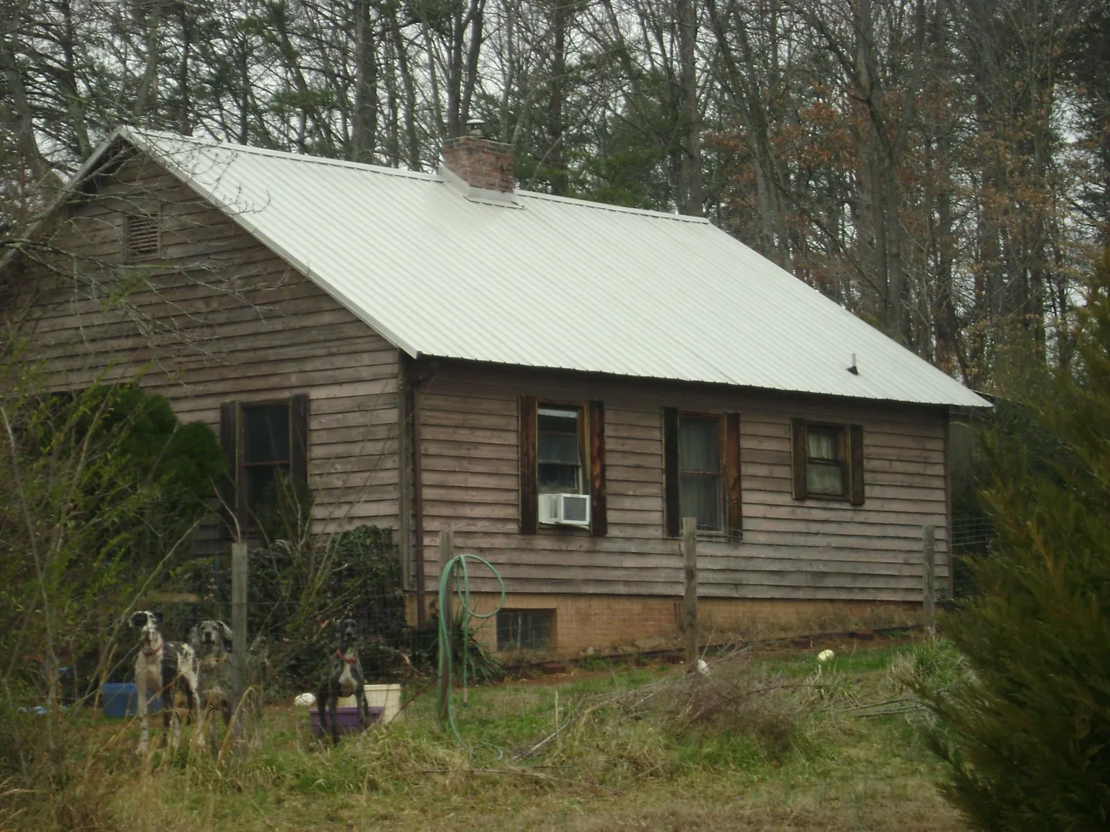 White metal roof on an old wood sided farmhouse, from a Metal Roof Installation job in Bolinas